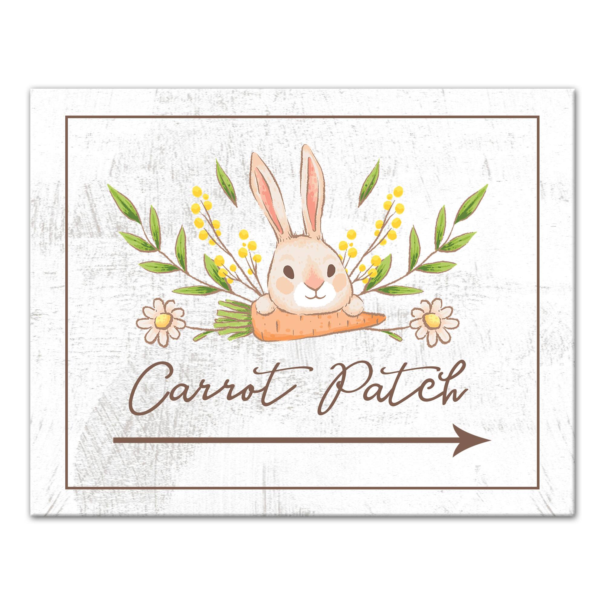 Bunny Carrot Patch 11" x 14" Canvas Wall Art